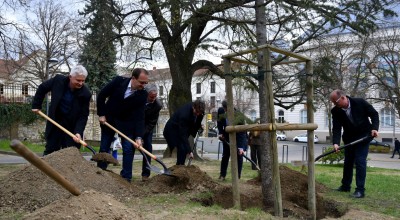 Faültetéssel indult a Csontváry emlékév a baranyai megyeszékhelyen