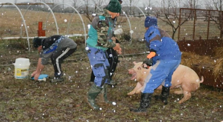 Böllérfesztivál Siklóson