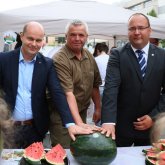 Védjegy garantálja a hazai dinnye minőségét